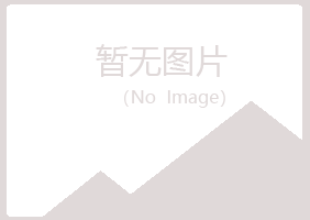 黄山区翠安造纸有限公司